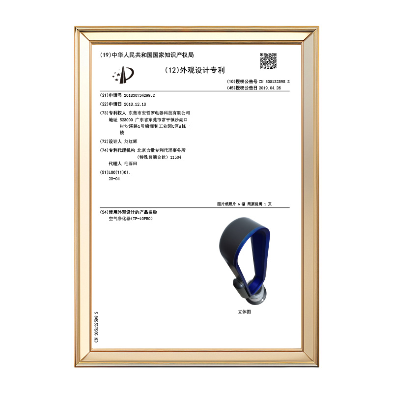 Original Chinese design patent publication CN 305132598 S